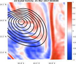 smallDomain_vorticity.png