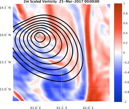 smallDomain_vorticity.png