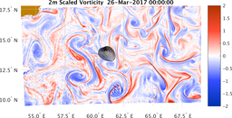 bigDomain_vorticity.png