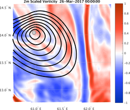 smallDomain_vorticity.png