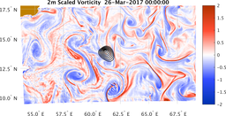 bigDomain_vorticity.png