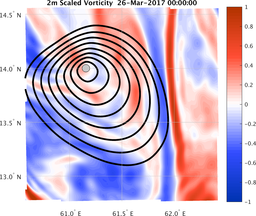 smallDomain_vorticity.png