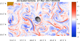 bigDomain_vorticity.png