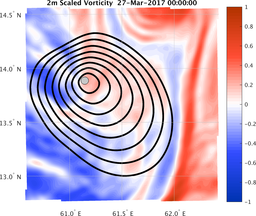 smallDomain_vorticity.png