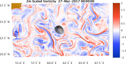 bigDomain_vorticity.png