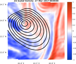 smallDomain_vorticity.png