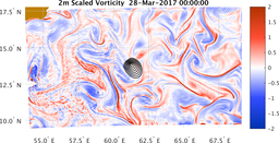 bigDomain_vorticity.png