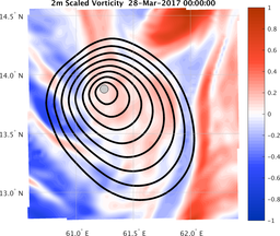 smallDomain_vorticity.png