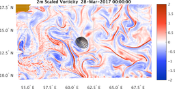 bigDomain_vorticity.png