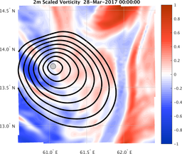 smallDomain_vorticity.png