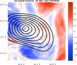 smallDomain_vorticity.png