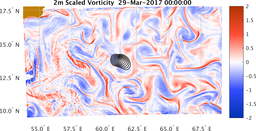 bigDomain_vorticity.png