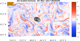 bigDomain_vorticity.png