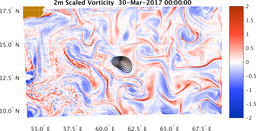 bigDomain_vorticity.png