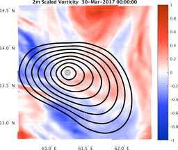 smallDomain_vorticity.png