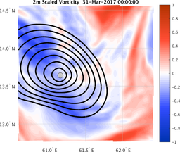 smallDomain_vorticity.png