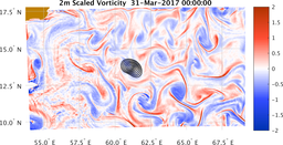 bigDomain_vorticity.png