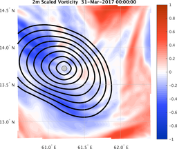 smallDomain_vorticity.png