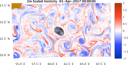 bigDomain_vorticity.png