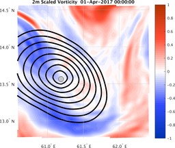 smallDomain_vorticity.png