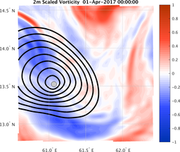 smallDomain_vorticity.png