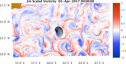 bigDomain_vorticity.png