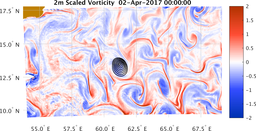 bigDomain_vorticity.png