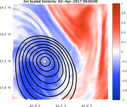 smallDomain_vorticity.png