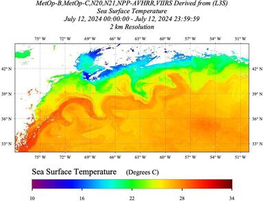 20240712_SST-LEO_Daily_AVHRR+VIIRS.jpg