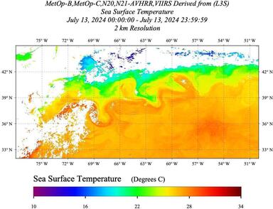 20240713_SST-LEO_Daily_AVHRR+VIIRS.jpg