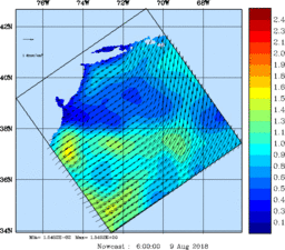 wstr_20180809_0600.gif