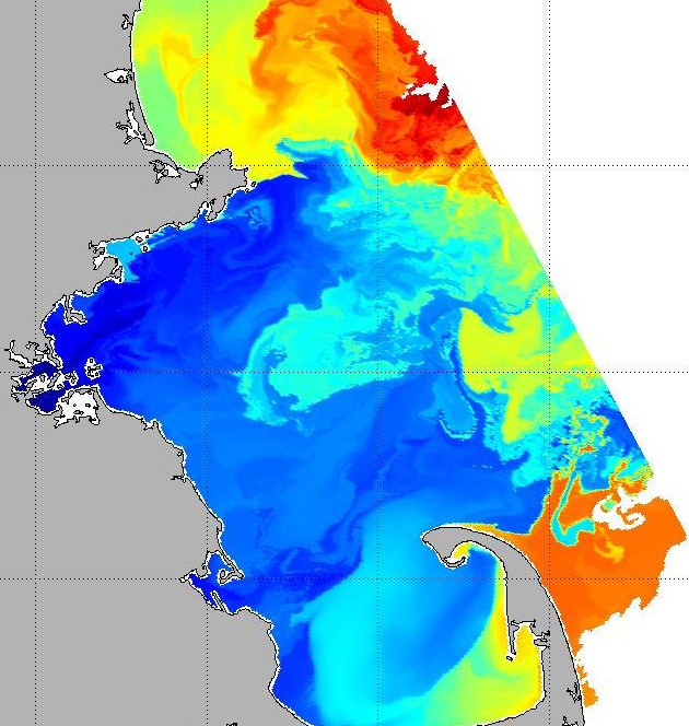 Plastic Pollution in the Oceans: Characterization and Modeling